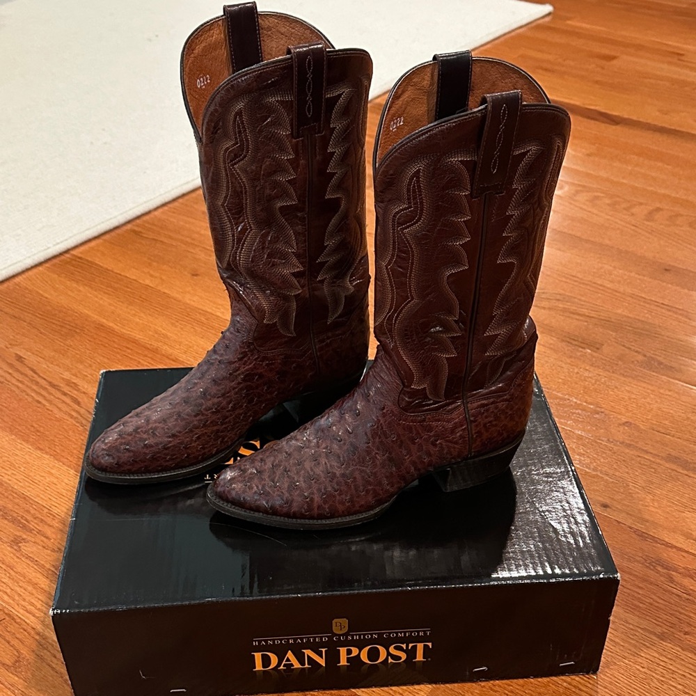 Dan Post Men's Dark Brown Ostrich Western Boots